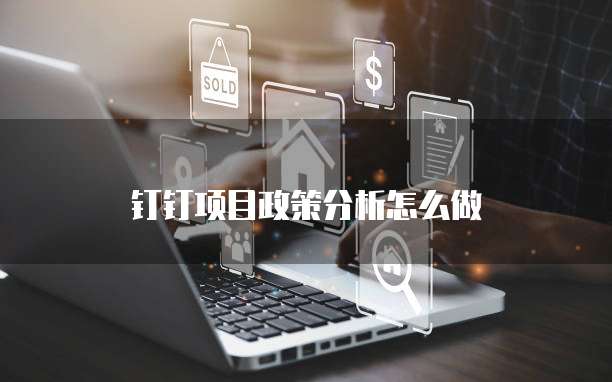 钉钉项目政策分析怎么做