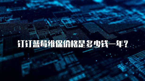 钉钉蓝莓维保价格是多少钱一年?