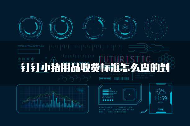 钉钉小猪用品收费标准怎么查的到