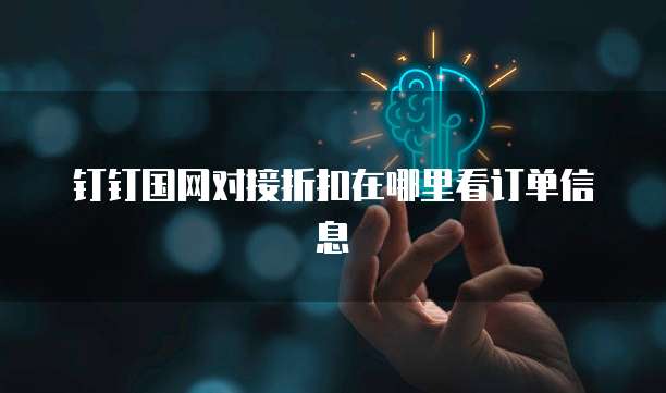 钉钉国网对接折扣在哪里看订单信息