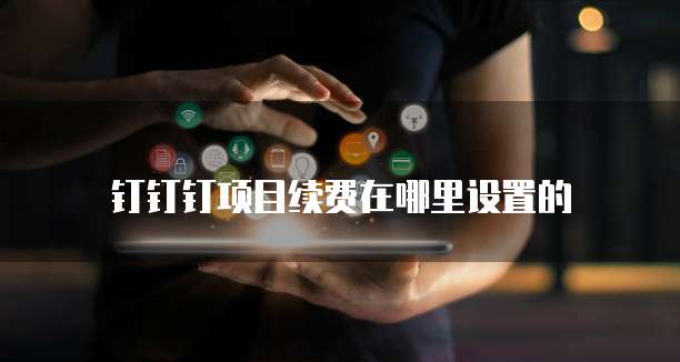 钉钉钉项目续费在哪里设置的