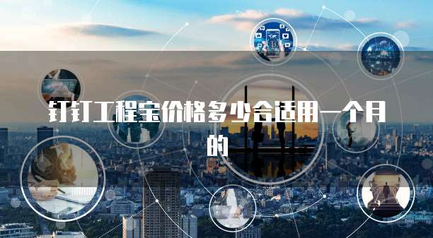 钉钉工程宝价格多少合适用一个月的