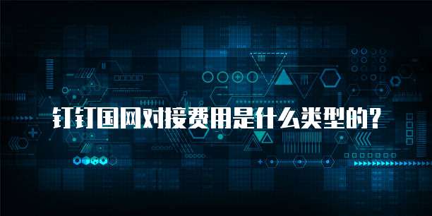 钉钉国网对接费用是什么类型的？