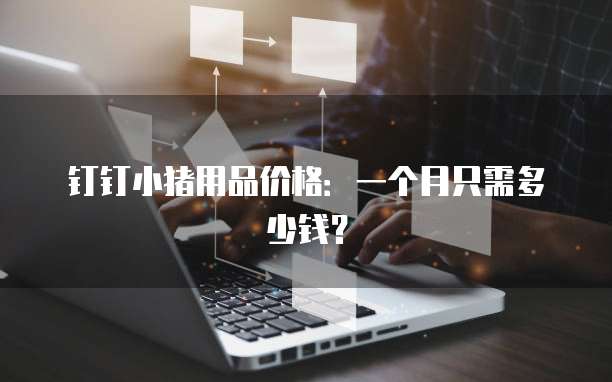 钉钉小猪用品价格:一个月只需多少钱?
