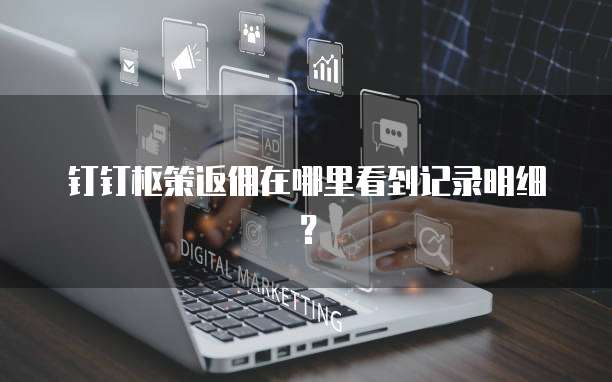钉钉枢策返佣在哪里看到记录明细?