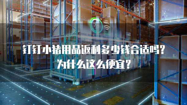 钉钉小猪用品返利多少钱合适吗？为什么这么便宜？
