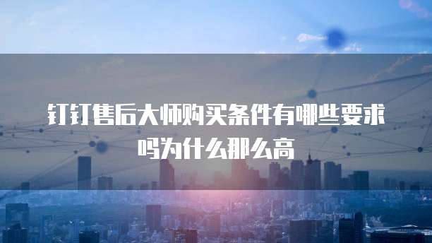 钉钉售后大师购买条件有哪些要求吗为什么那么高