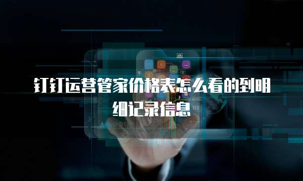 钉钉运营管家价格表怎么看的到明细记录信息
