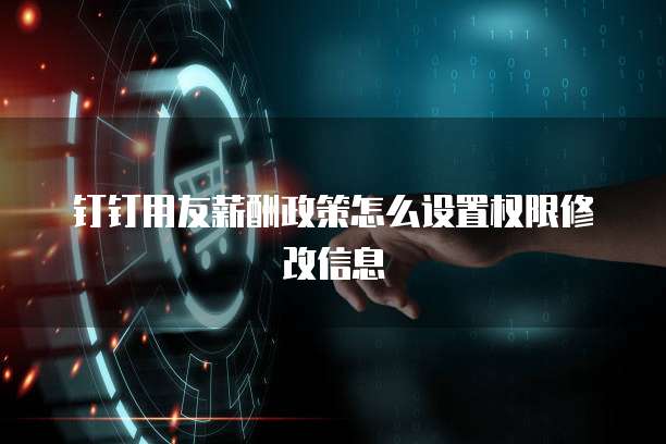 钉钉用友薪酬政策怎么设置权限修改信息