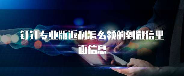 钉钉专业版返利怎么领的到微信里面信息