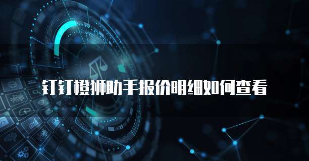 钉钉橙狮助手报价明细如何查看