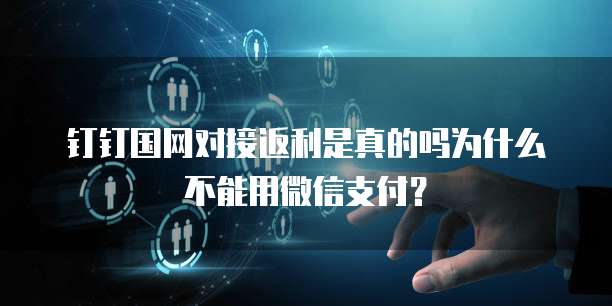 钉钉国网对接返利是真的吗为什么不能用微信支付?