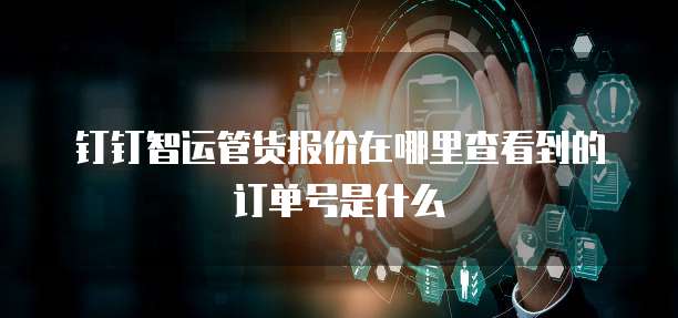 钉钉智运管货报价在哪里查看到的订单号是什么