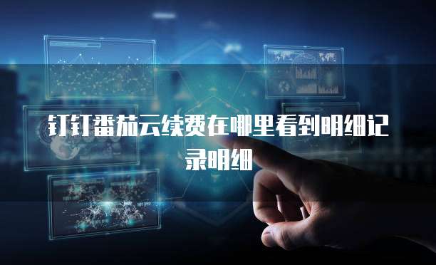 钉钉番茄云续费在哪里看到明细记录明细