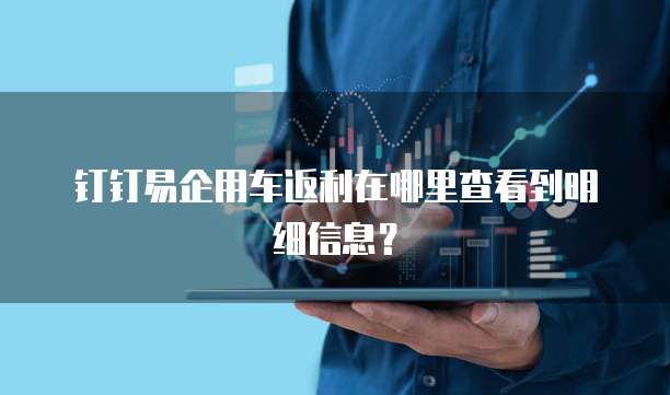 钉钉易企用车返利在哪里查看到明细信息？