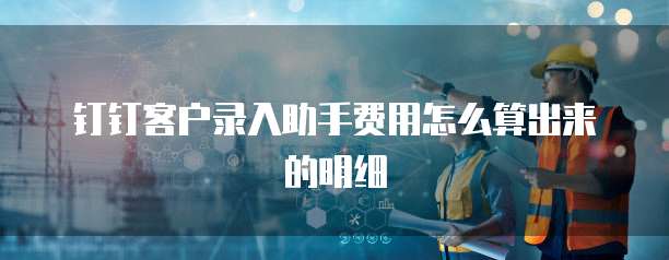 钉钉客户录入助手费用怎么算出来的明细