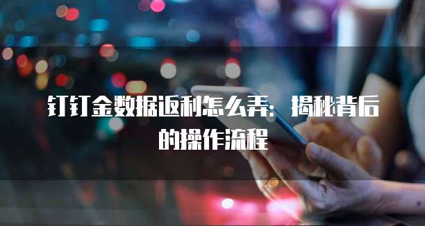 钉钉金数据返利怎么弄:揭秘背后的操作流程