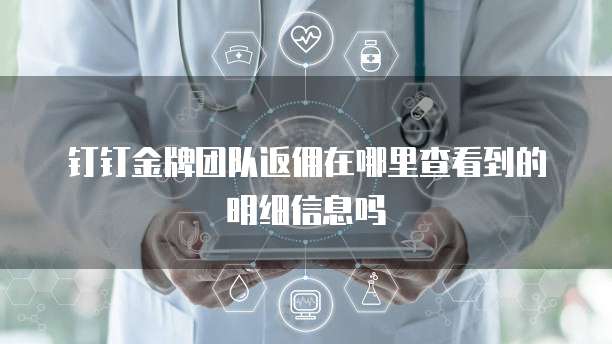 钉钉金牌团队返佣在哪里查看到的明细信息吗