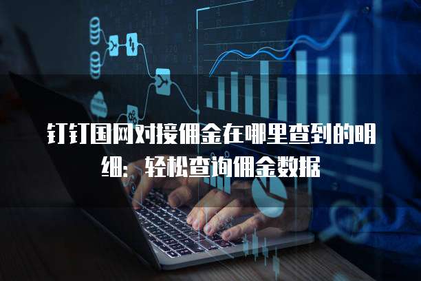 钉钉国网对接佣金在哪里查到的明细:轻松查询佣金数据