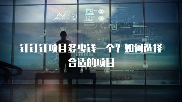 钉钉钉项目多少钱一个?如何选择合适的项目
