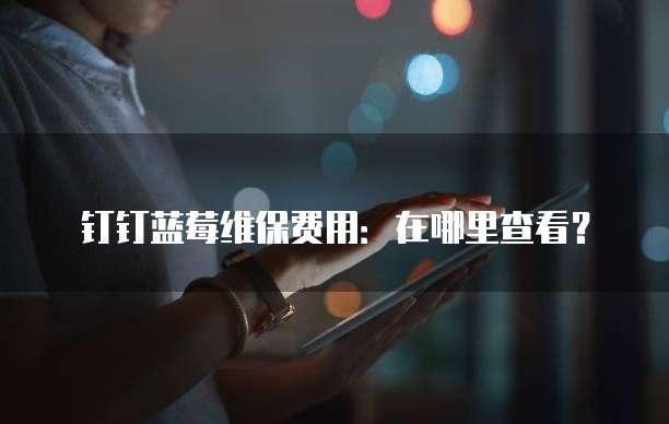钉钉蓝莓维保费用:在哪里查看?