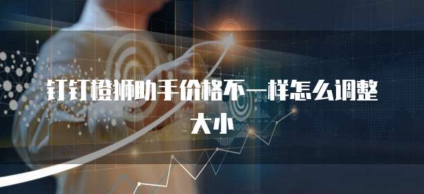 钉钉橙狮助手价格不一样怎么调整大小