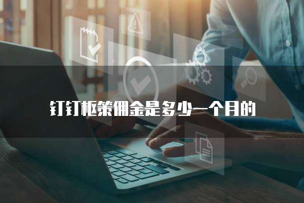 钉钉枢策佣金是多少一个月的
