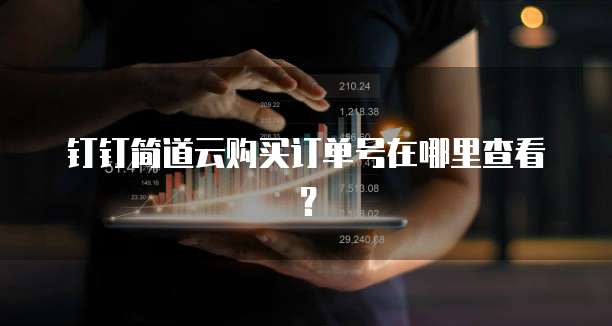 钉钉简道云购买订单号在哪里查看?