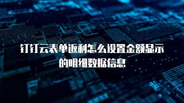 钉钉云表单返利怎么设置金额显示的明细数据信息