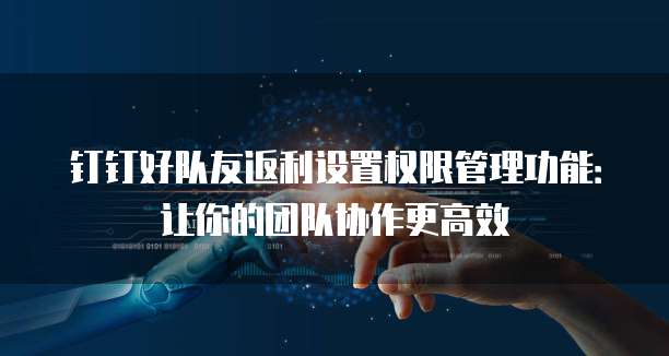 钉钉好队友返利设置权限管理功能：让你的团队协作更高效