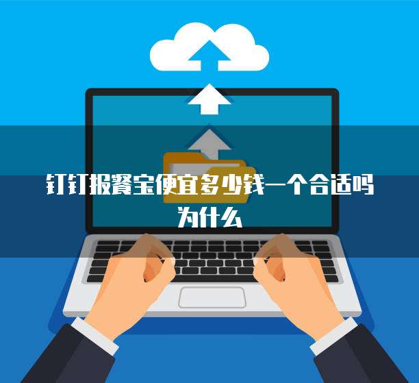 钉钉报餐宝便宜多少钱一个合适吗为什么