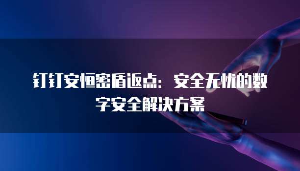 钉钉安恒密盾返点:安全无忧的数字安全解决方案