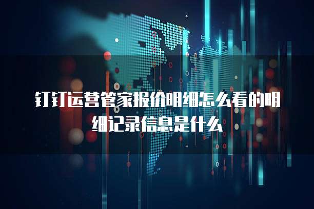 钉钉运营管家报价明细怎么看的明细记录信息是什么