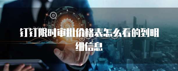 钉钉限时审批价格表怎么看的到明细信息