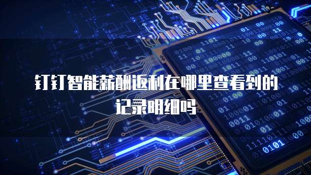 钉钉智能薪酬返利在哪里查看到的记录明细吗