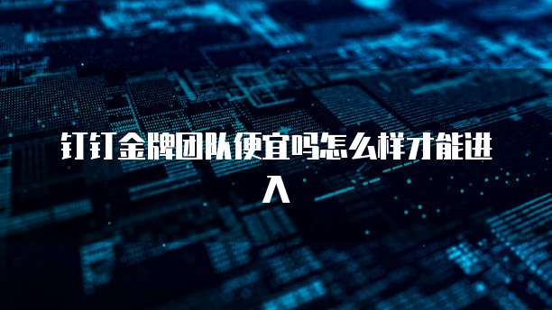 钉钉金牌团队便宜吗怎么样才能进入