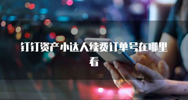 钉钉资产小达人续费订单号在哪里看