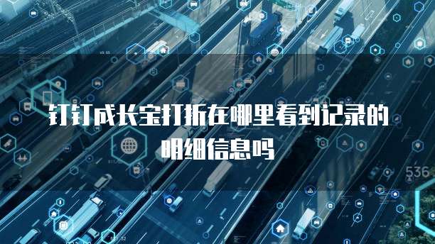 钉钉成长宝打折在哪里看到记录的明细信息吗