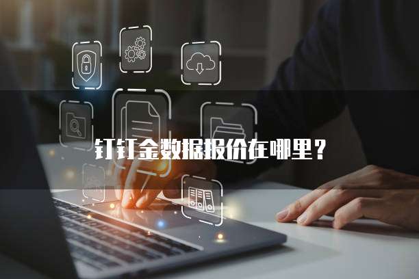 钉钉金数据报价在哪里?