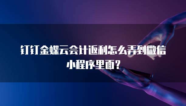 钉钉金蝶云会计返利怎么弄到微信小程序里面？