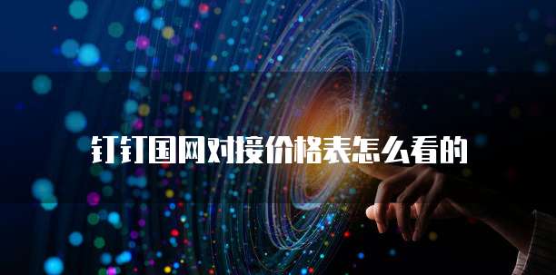 钉钉国网对接价格表怎么看的
