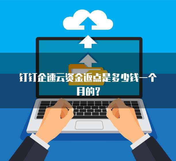 钉钉企速云资金返点是多少钱一个月的?