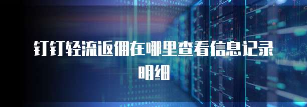 钉钉轻流返佣在哪里查看信息记录明细