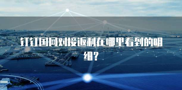 钉钉国网对接返利在哪里看到的明细?
