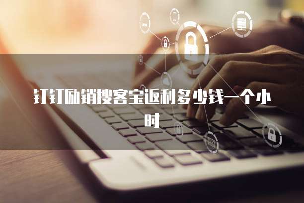 钉钉励销搜客宝返利多少钱一个小时
