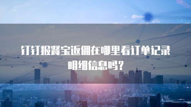 钉钉报餐宝返佣在哪里看订单记录明细信息吗?