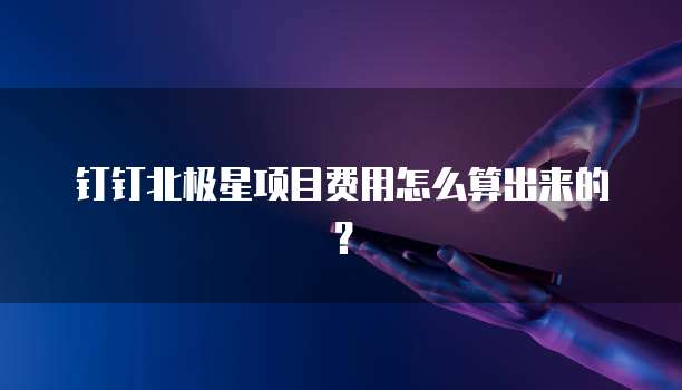钉钉北极星项目费用怎么算出来的?