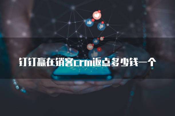 钉钉赢在销客crm返点多少钱一个