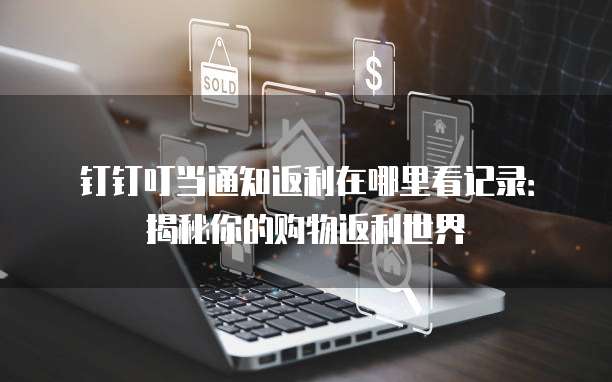 钉钉叮当通知返利在哪里看记录:揭秘你的购物返利世界