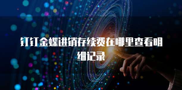 钉钉金蝶进销存续费在哪里查看明细记录